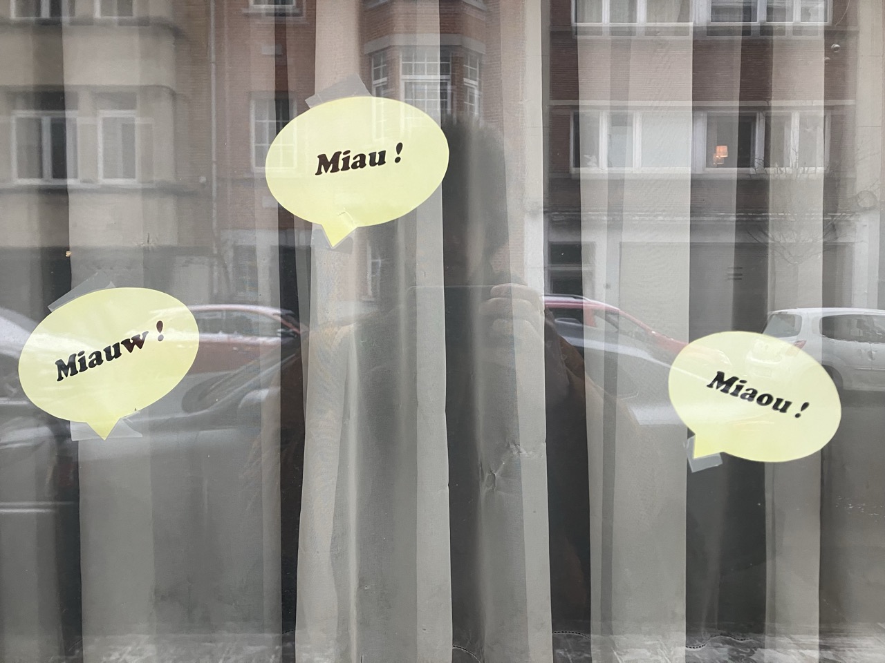 Tutoriel project image